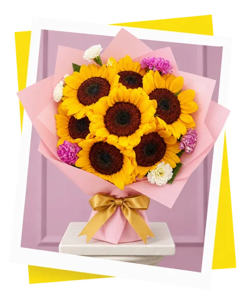 Buchón Girasol