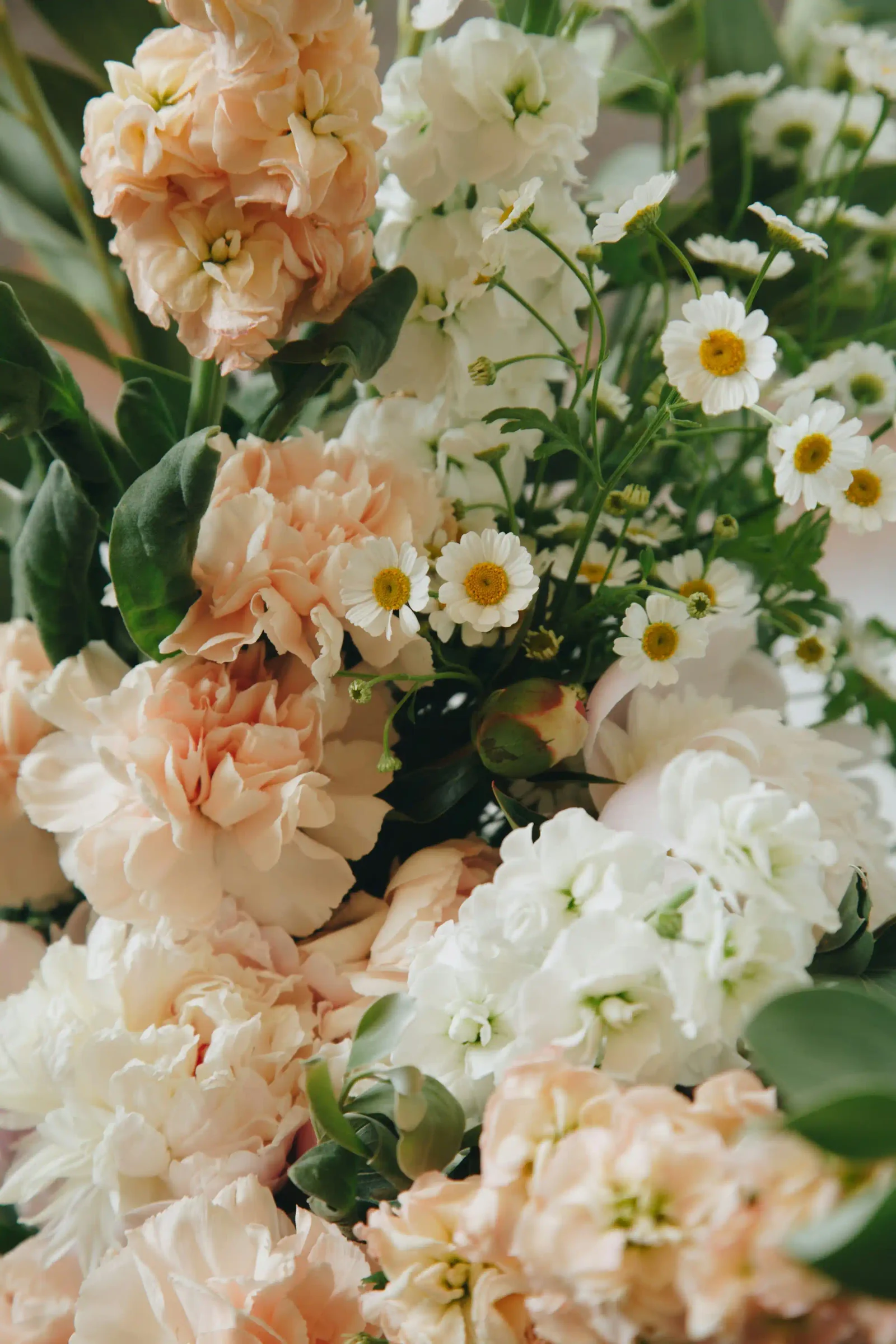 Detalle de flores naturales